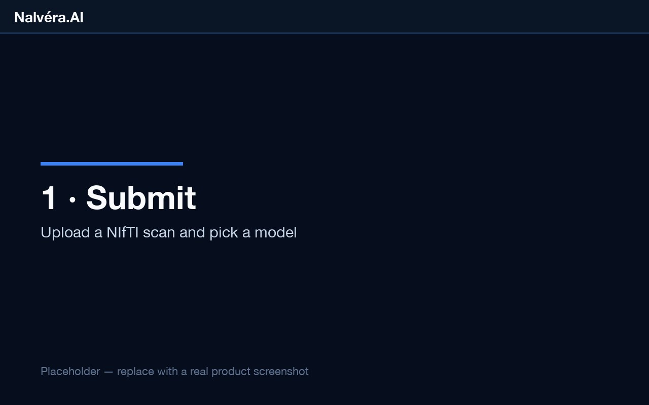 Submit Job screen — file picker, model selector, and credit estimate