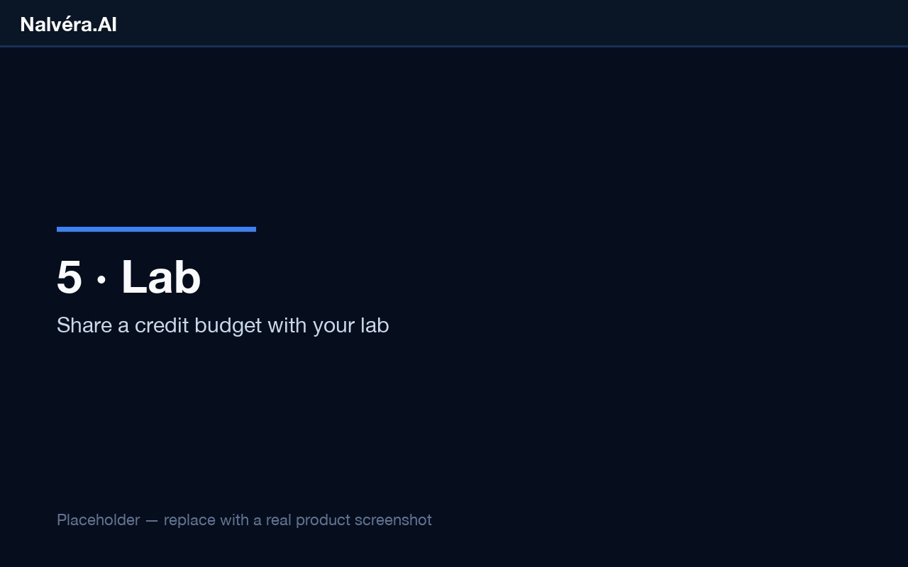 Lab Console — shared credit budget and member management